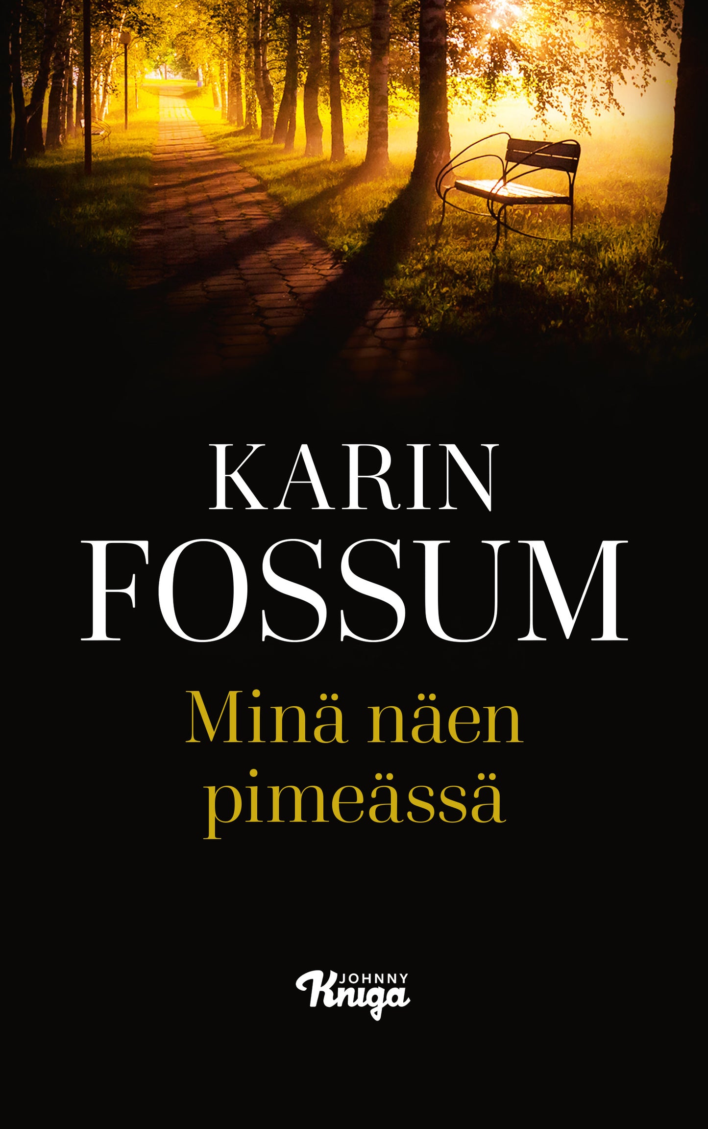 Minä näen pimeässä – E-bok