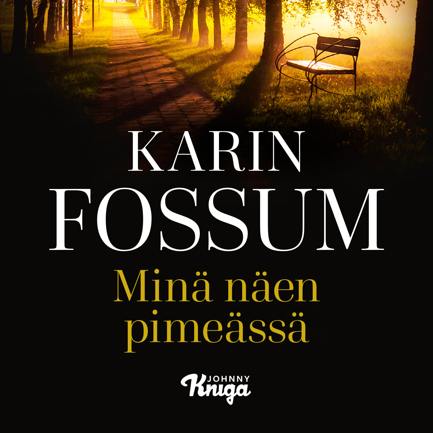 Minä näen pimeässä – Ljudbok