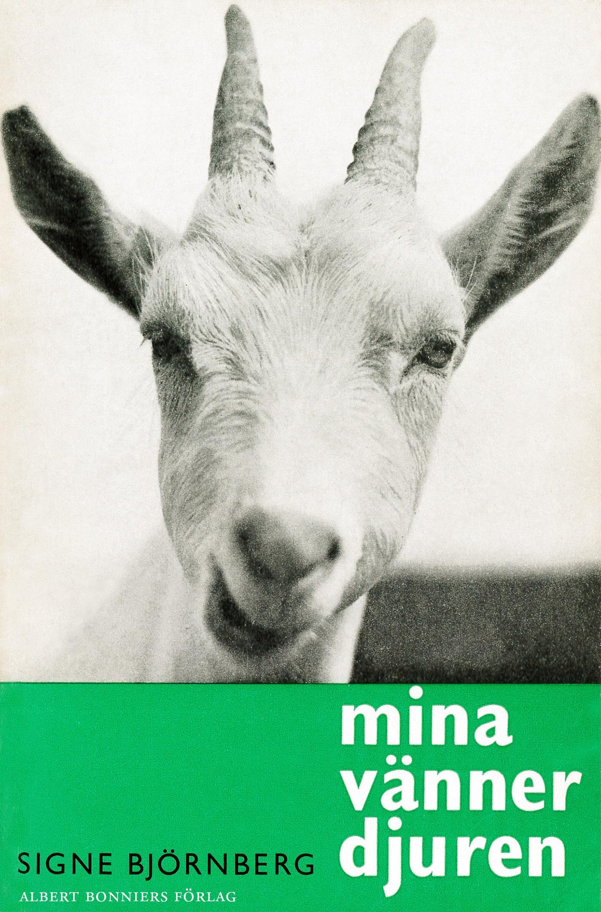 Mina vänner djuren – E-bok