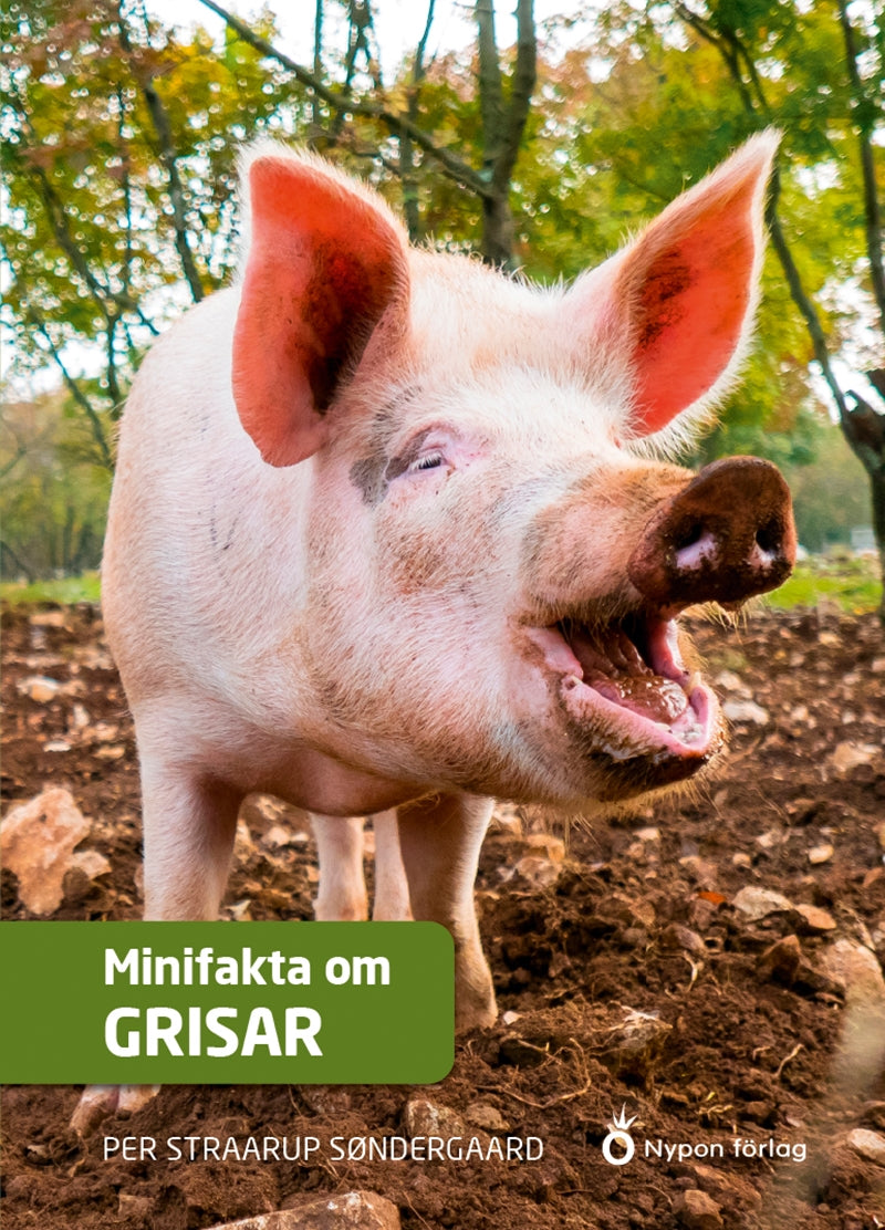 Minifakta om grisar – Ljudbok
