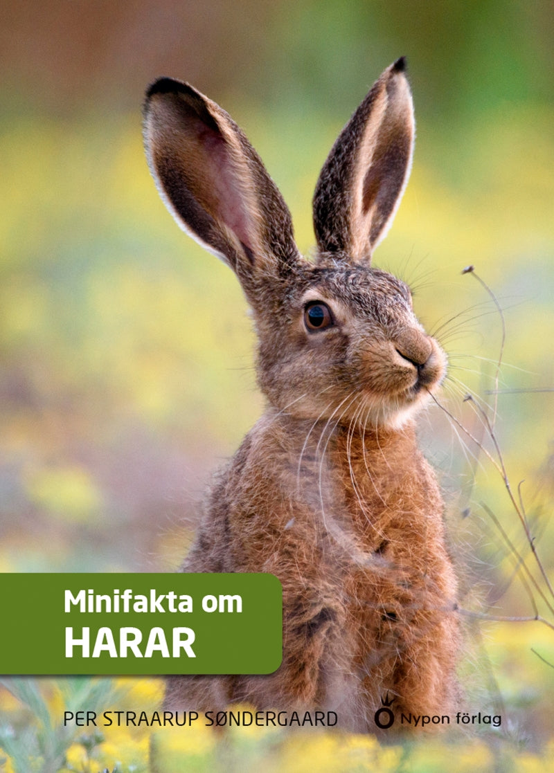 Minifakta om harar – Ljudbok