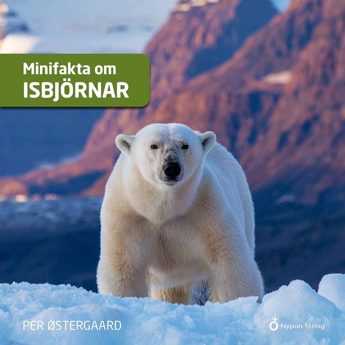 Minifakta om isbjörnar – Ljudbok