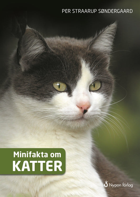 Minifakta om katter – E-bok