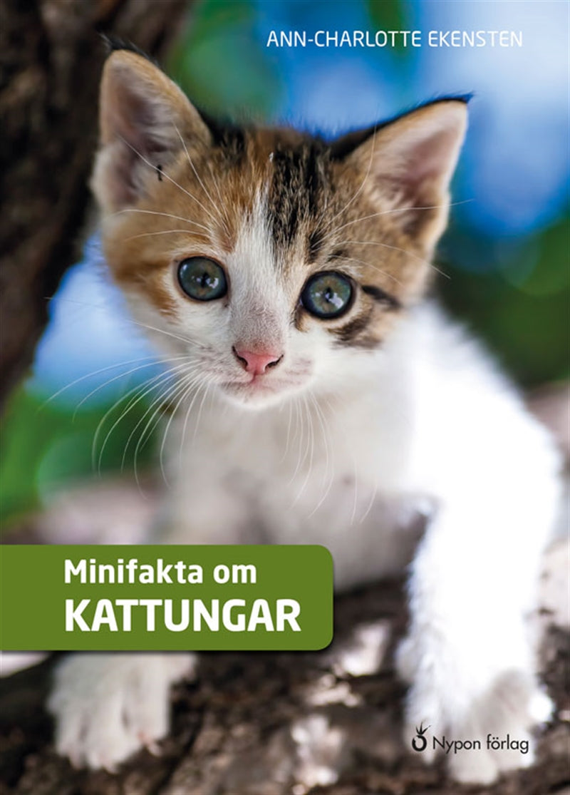 Minifakta om kattungar – Ljudbok