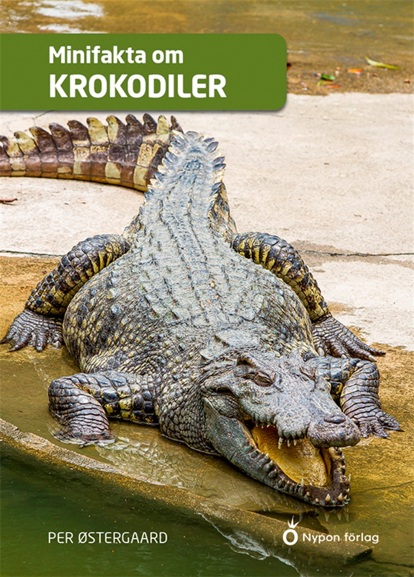 Minifakta om krokodiler – E-bok