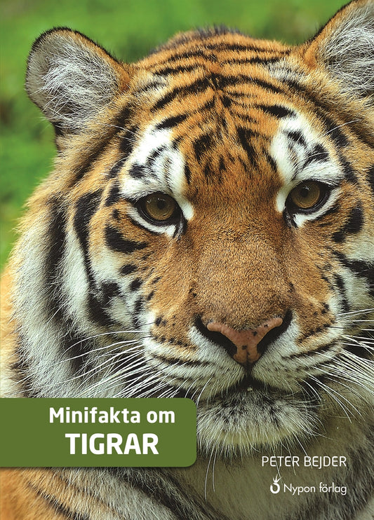 Minifakta om tigrar – E-bok