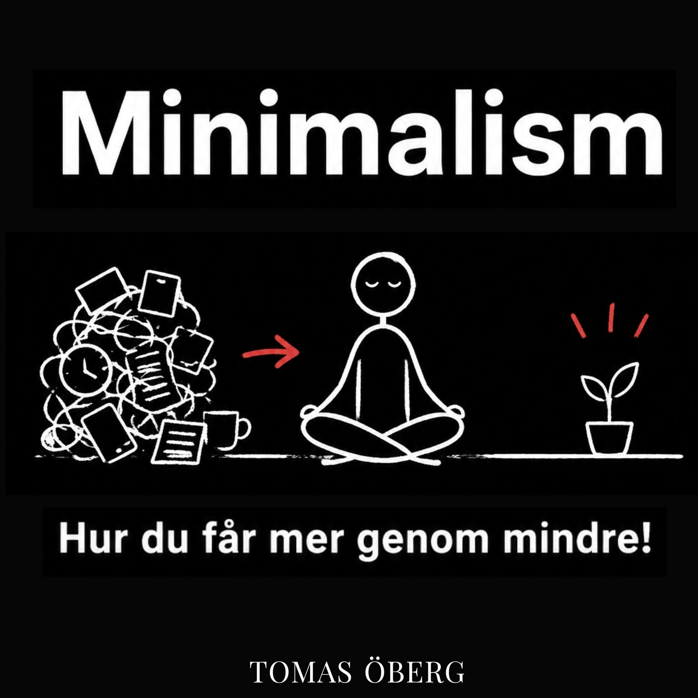 Minimalism - Hur du får mer genom mindre – Ljudbok