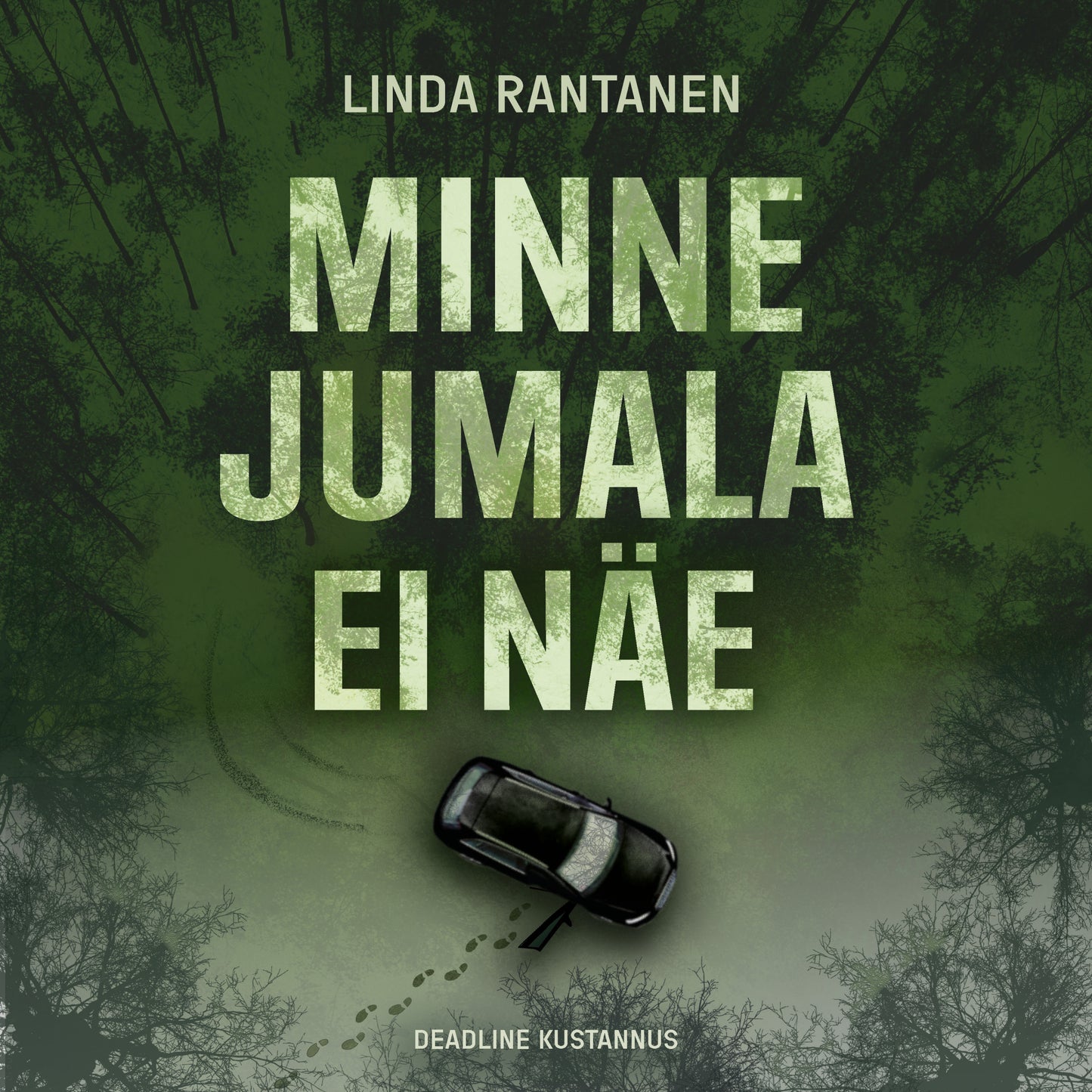 Minne Jumala ei näe – Ljudbok