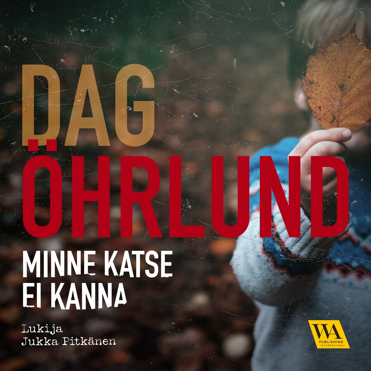 Minne katse ei kanna – Ljudbok