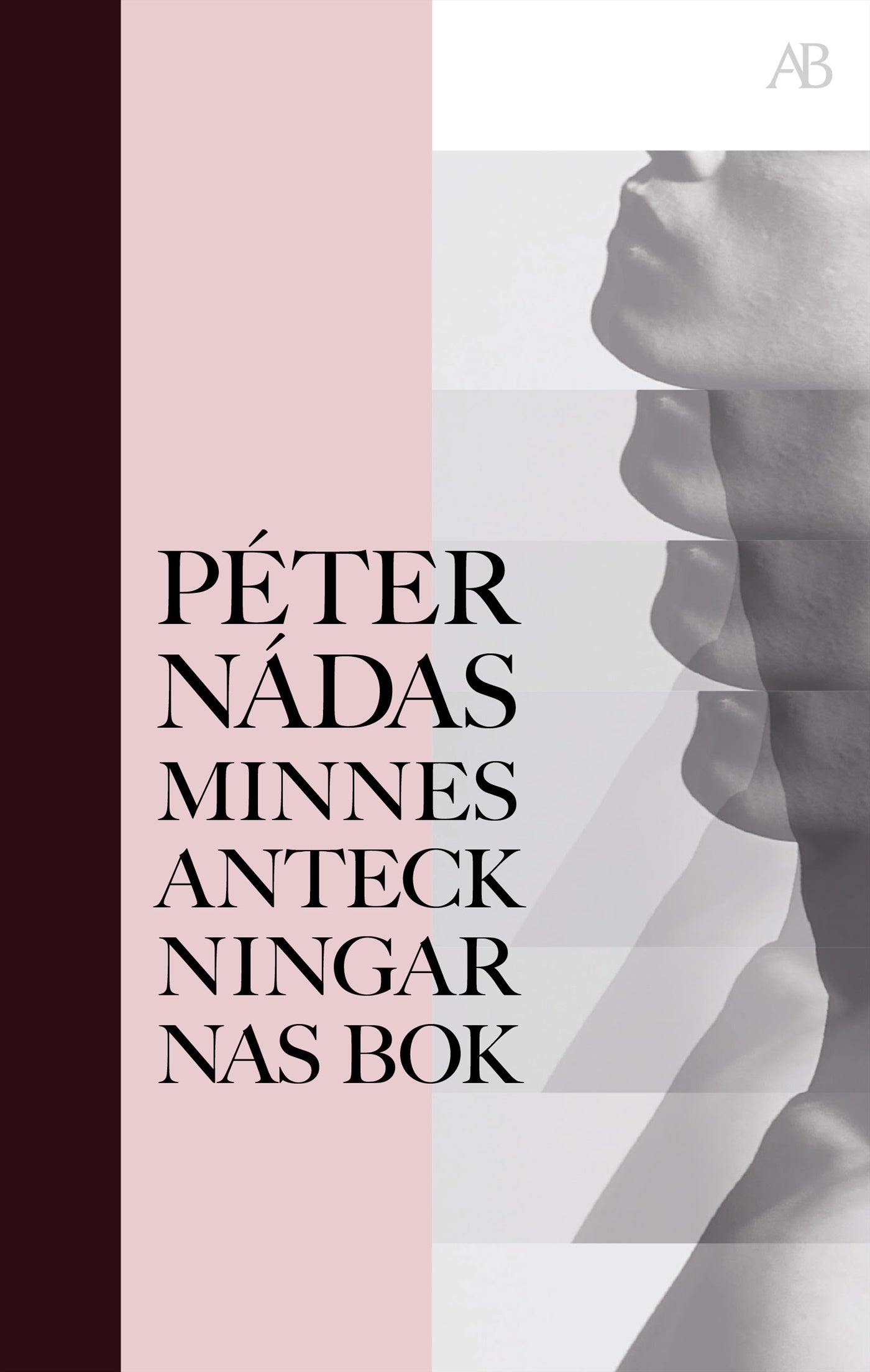 Minnesanteckningarnas bok – E-bok