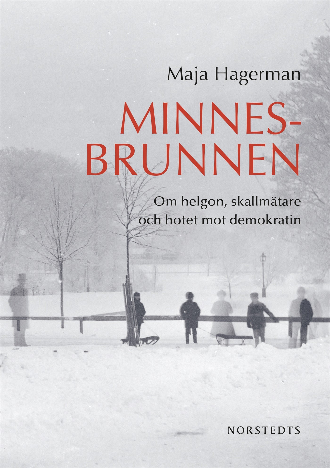 Minnesbrunnen : om helgon, skallmätare och hotet mot demokratin – E-bok