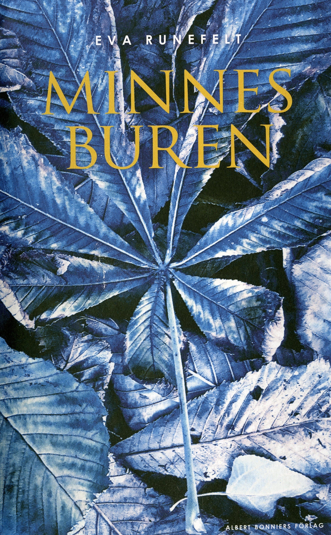 Minnesburen – E-bok