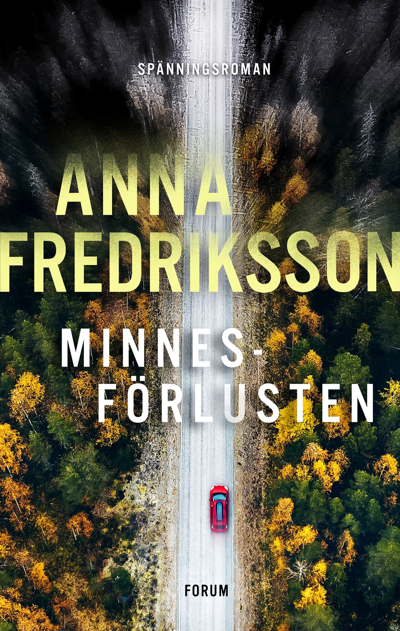 Minnesförlusten – E-bok