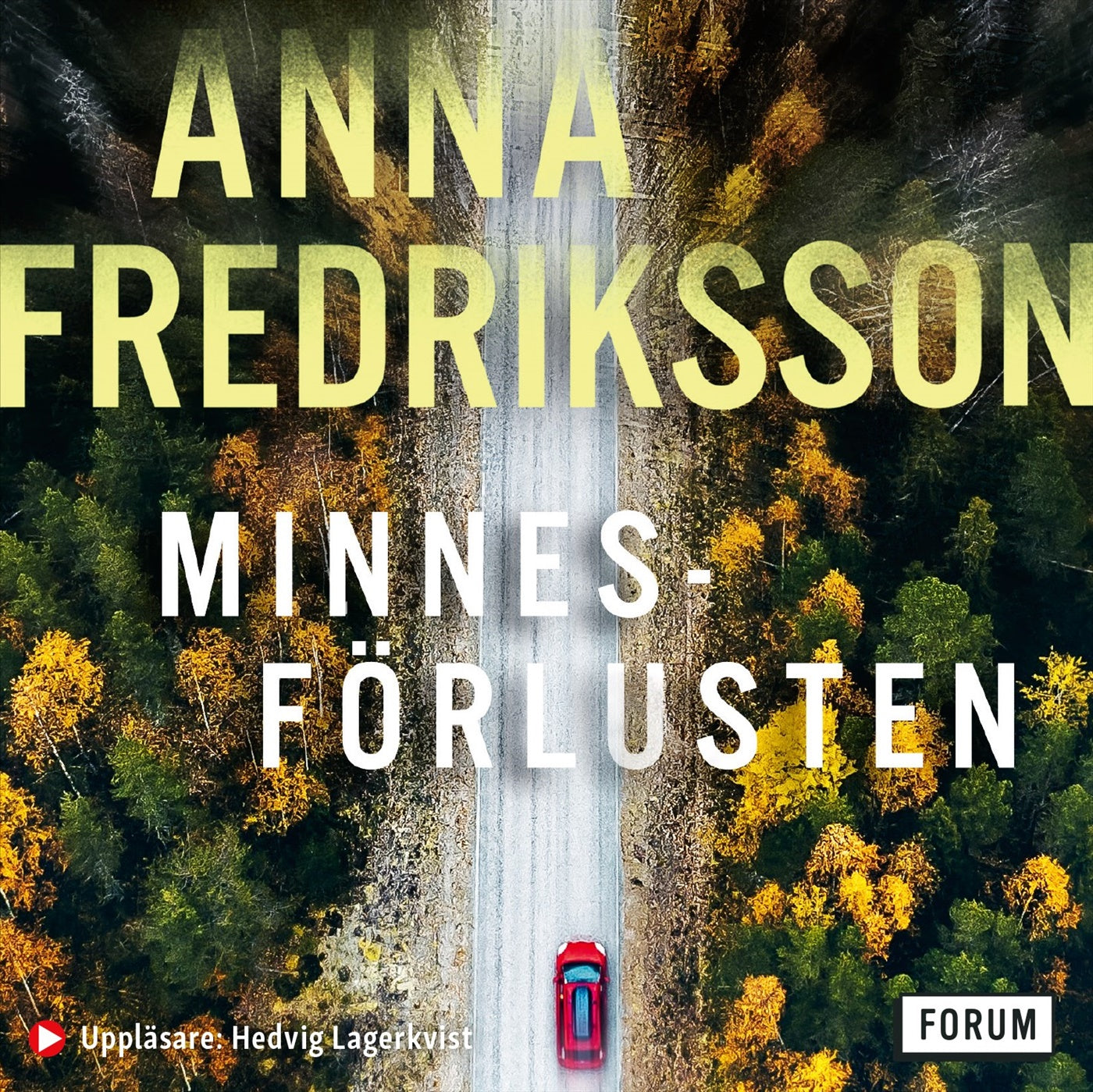 Minnesförlusten – Ljudbok