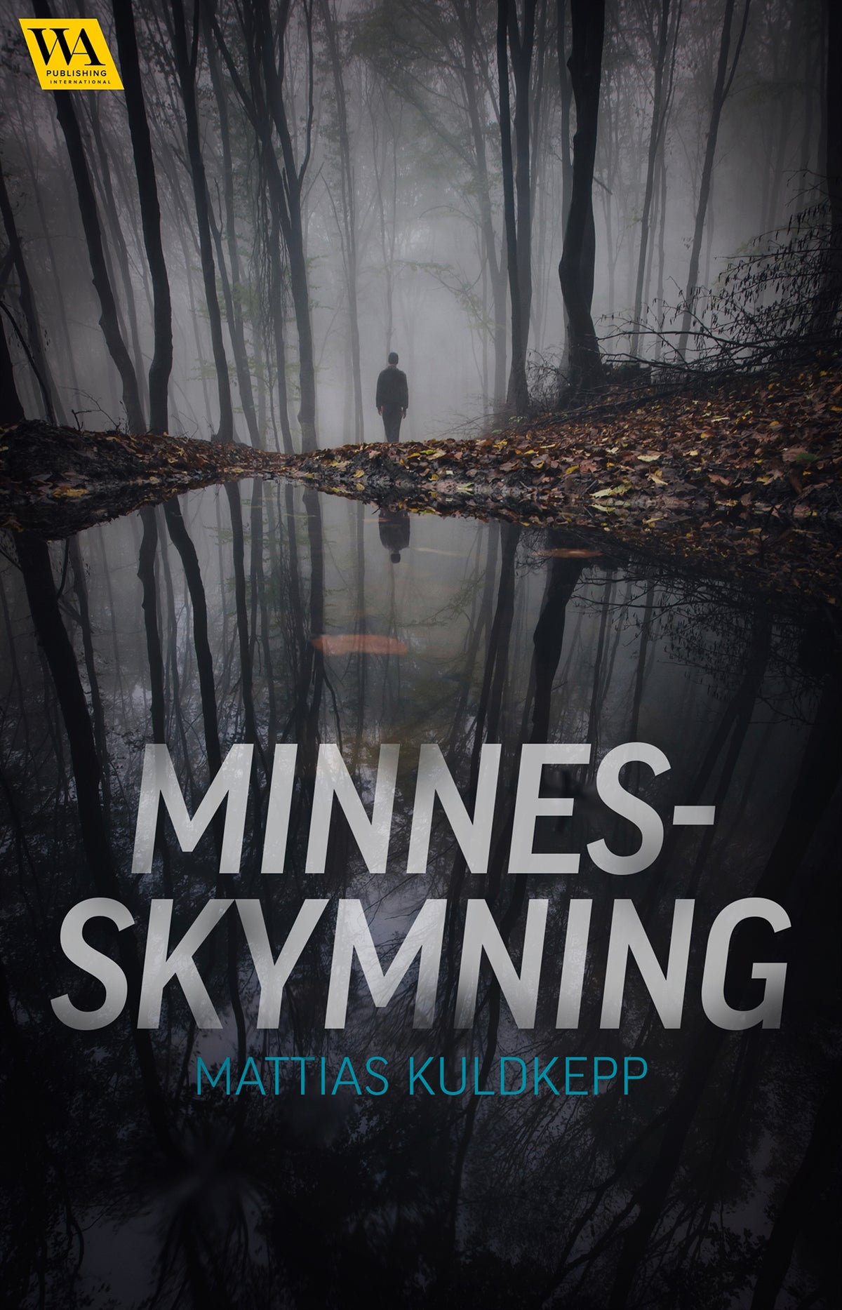 Minnesskymning – E-bok