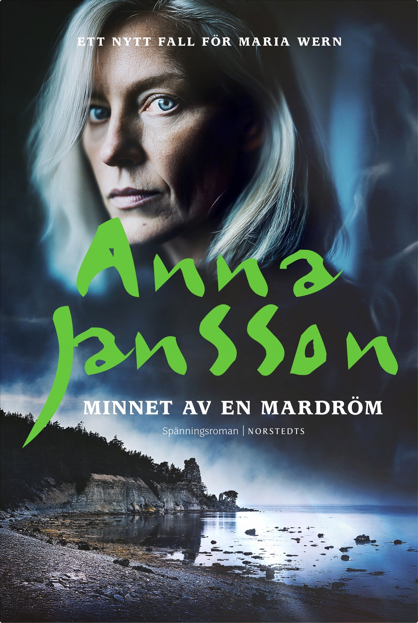 Minnet av en mardröm – E-bok