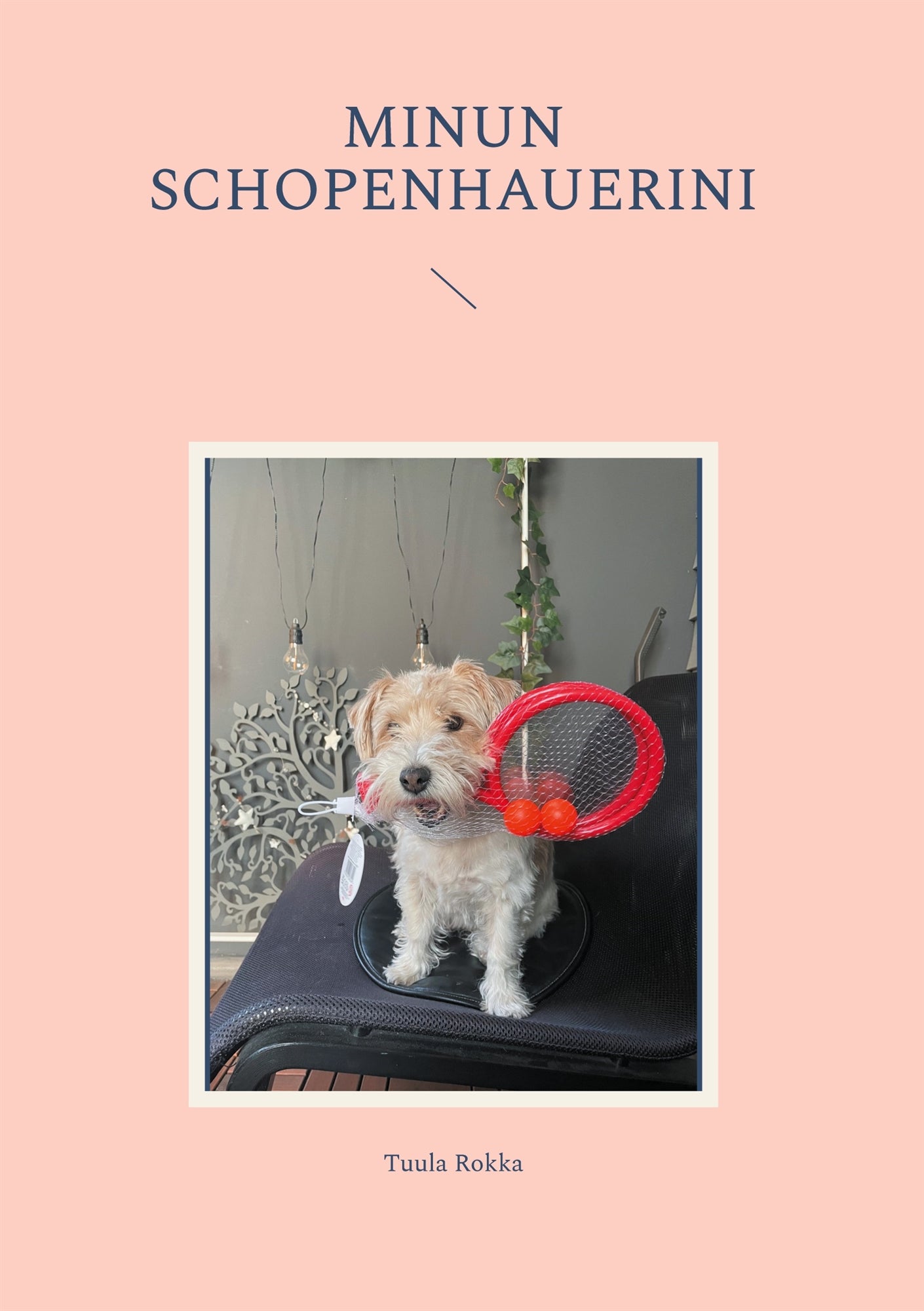 Minun Schopenhauerini – E-bok