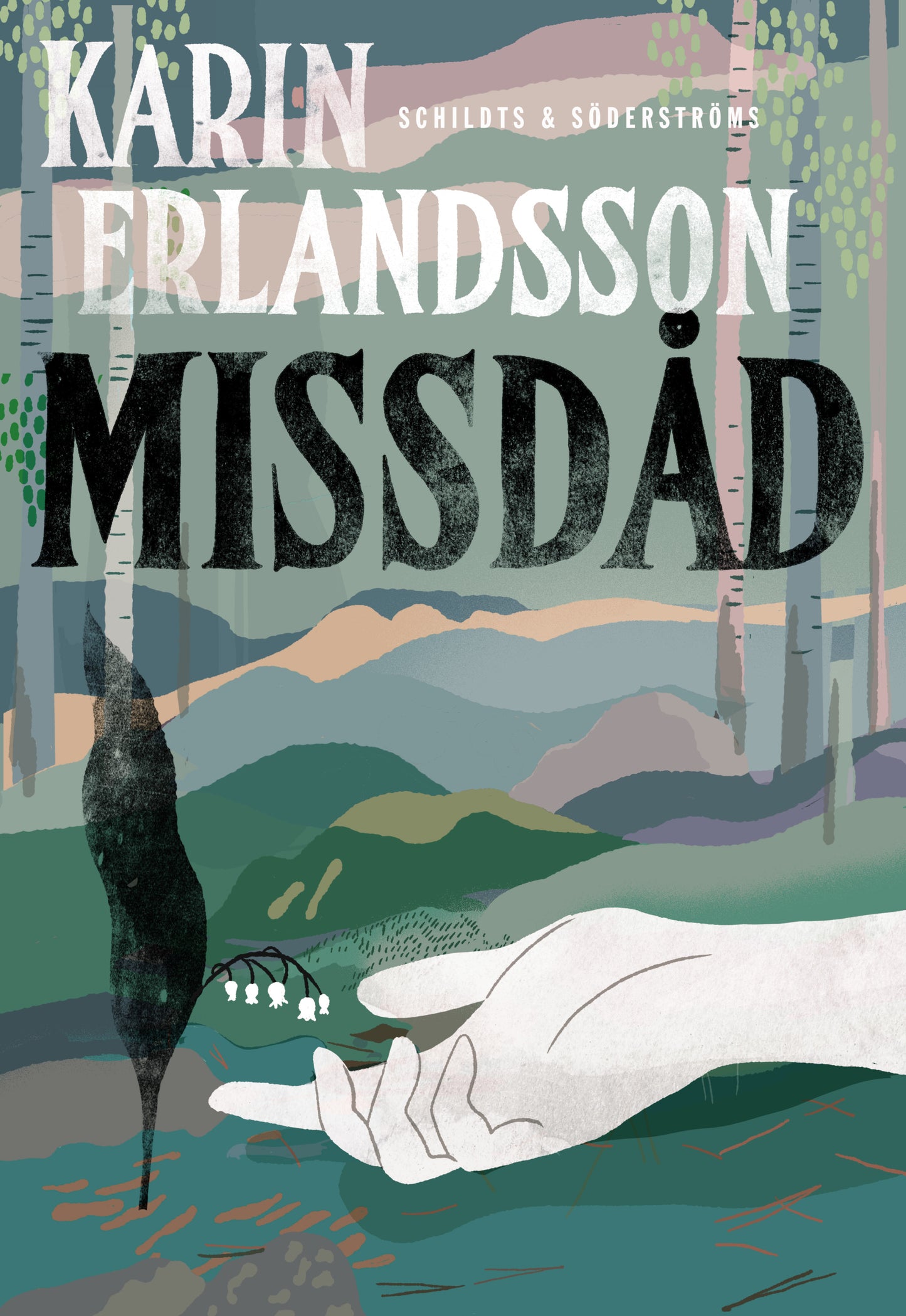 Missdåd – E-bok