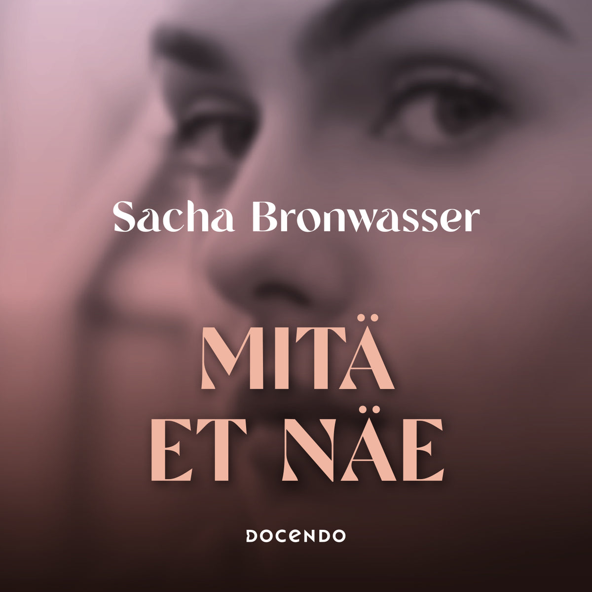 Mitä et näe – Ljudbok