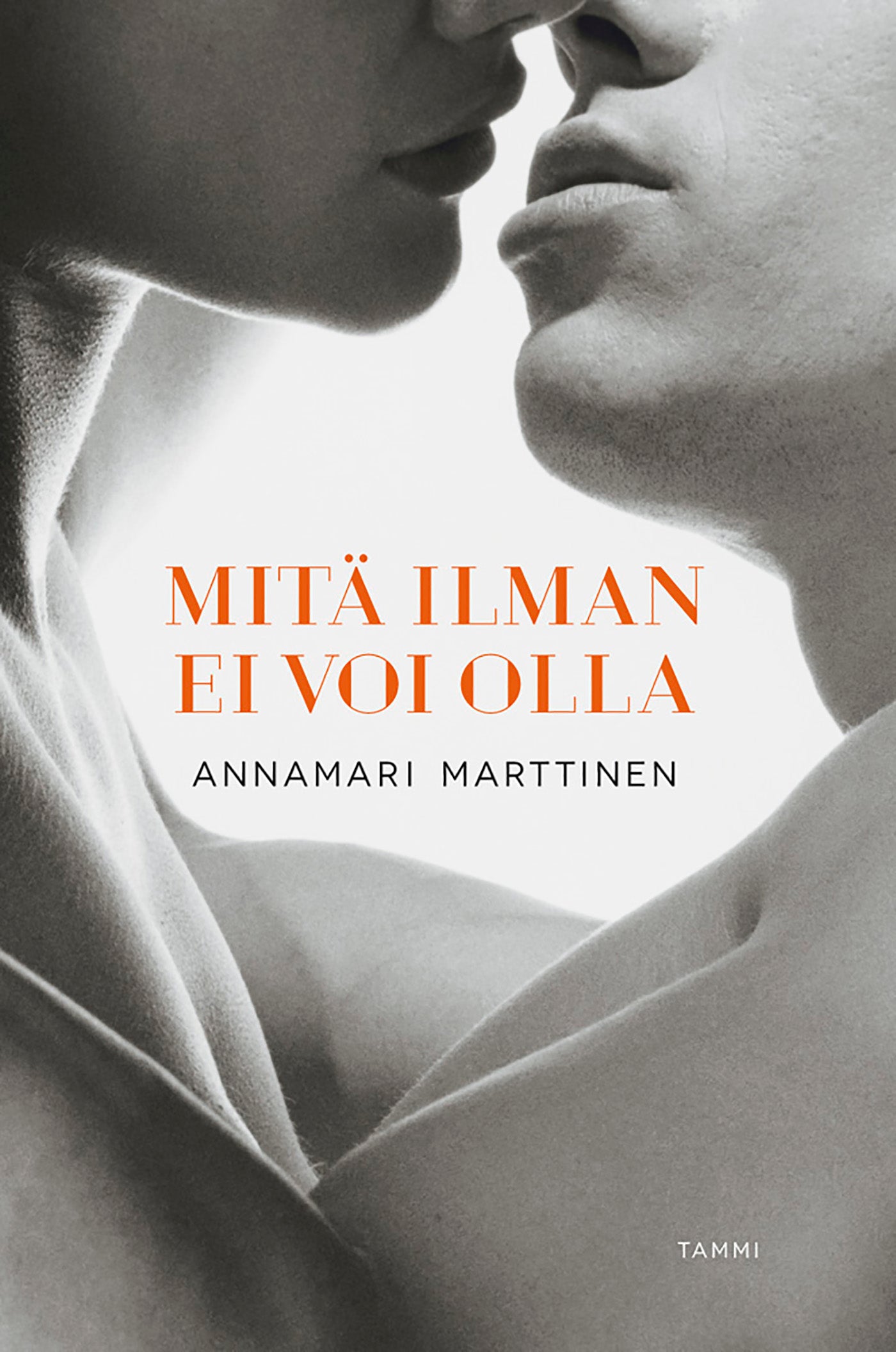 Mitä ilman ei voi olla – E-bok