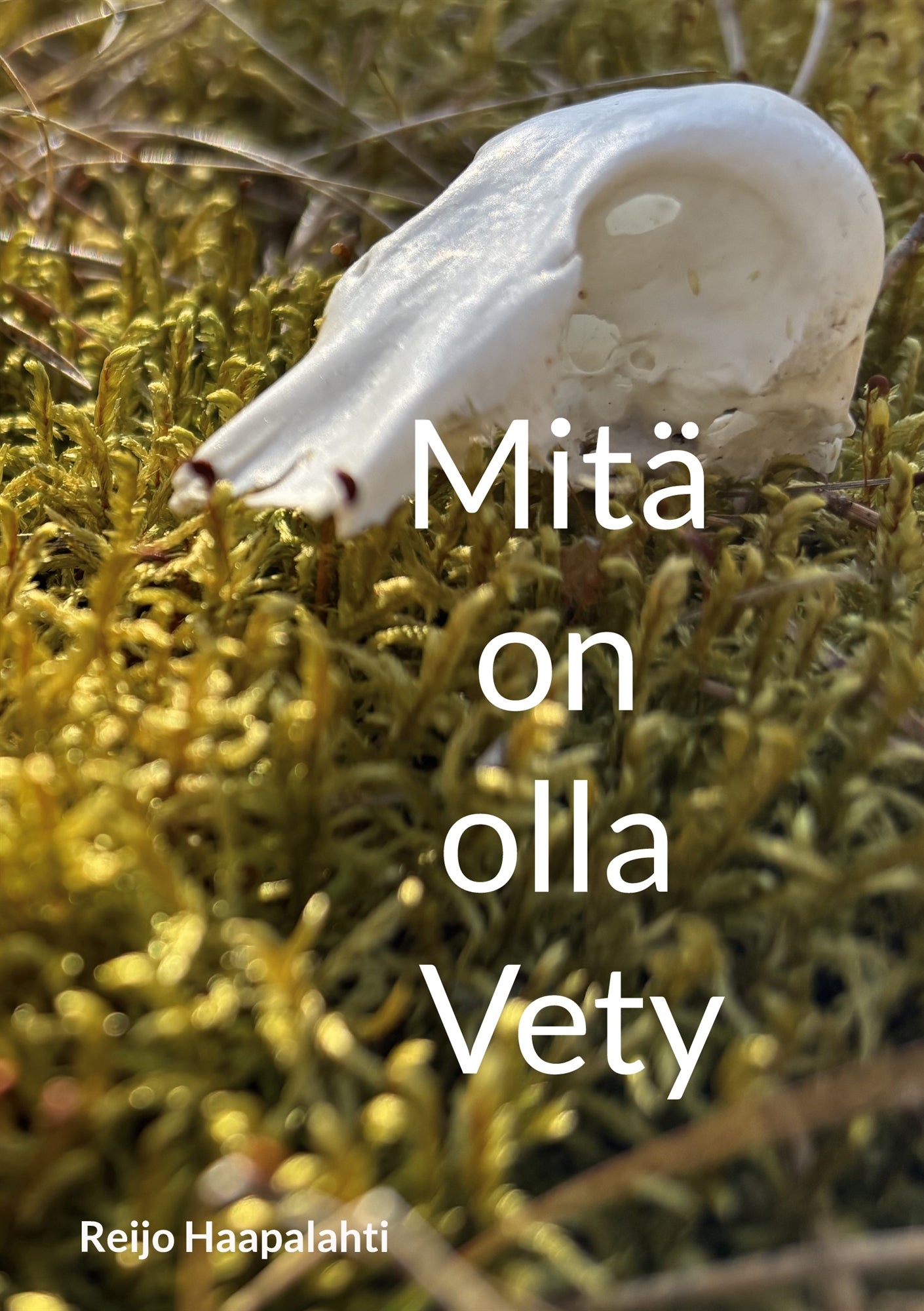 Mitä on olla Vety: Eli vähän yli sata askelta kohti syvempää tietoisuutta. – E-bok