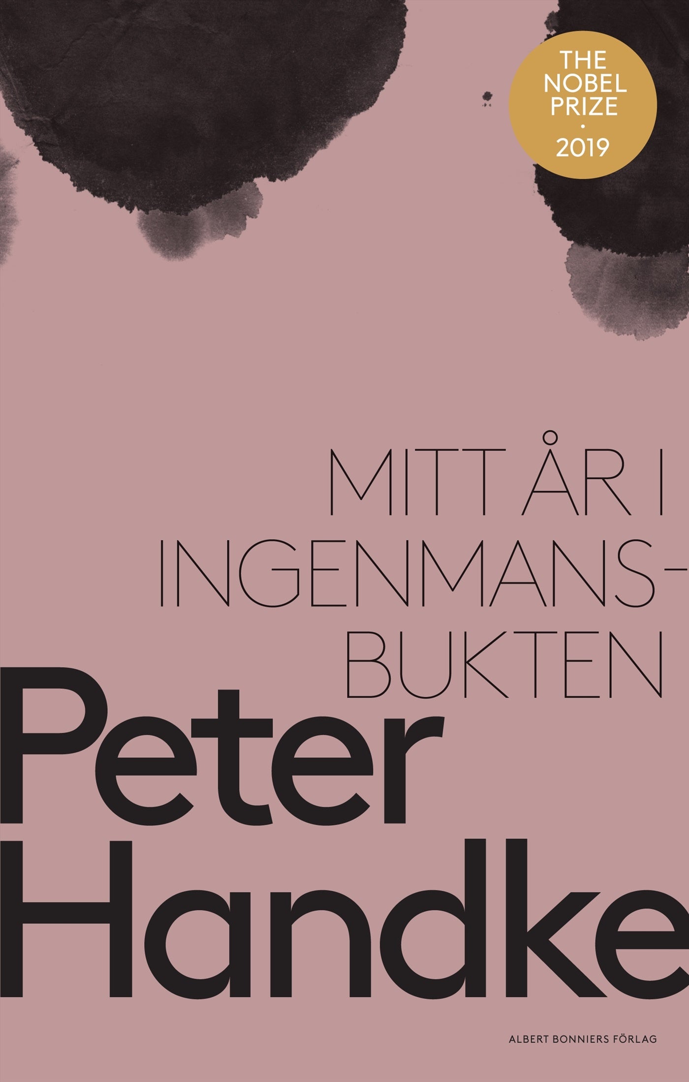 Mitt år i Ingenmansbukten : en saga från de nya tiderna – E-bok