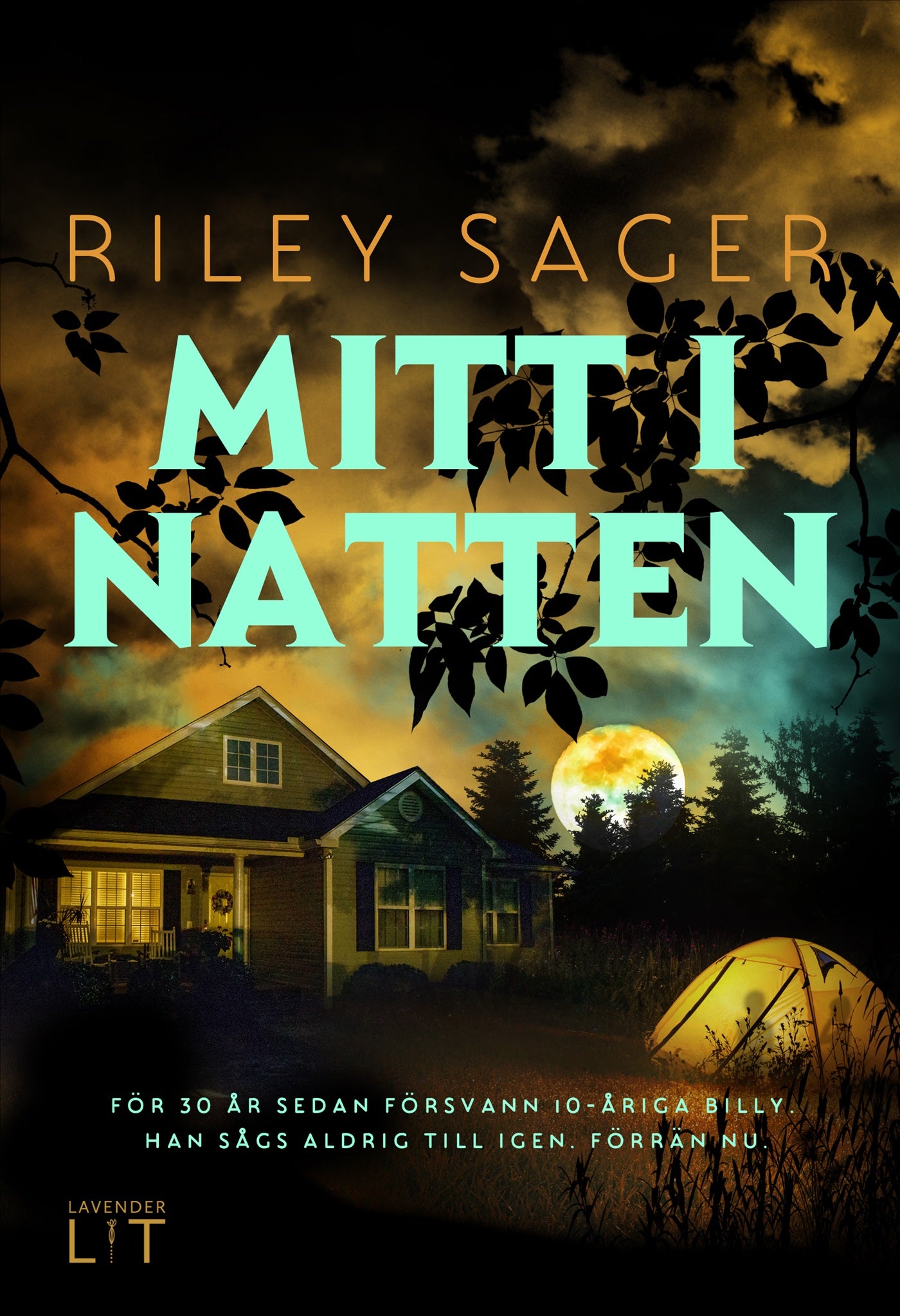 Mitt i natten – E-bok