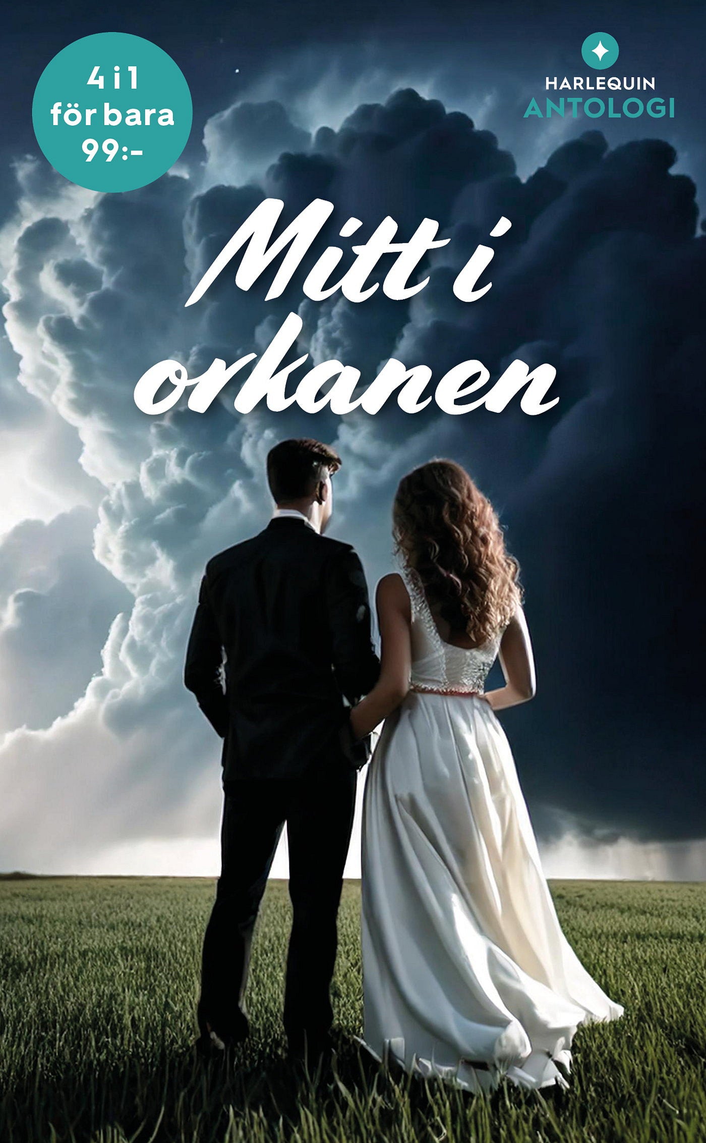 Mitt i orkanen – E-bok