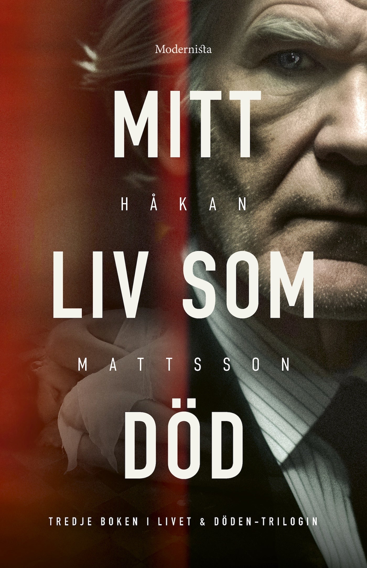 Mitt liv som död – E-bok