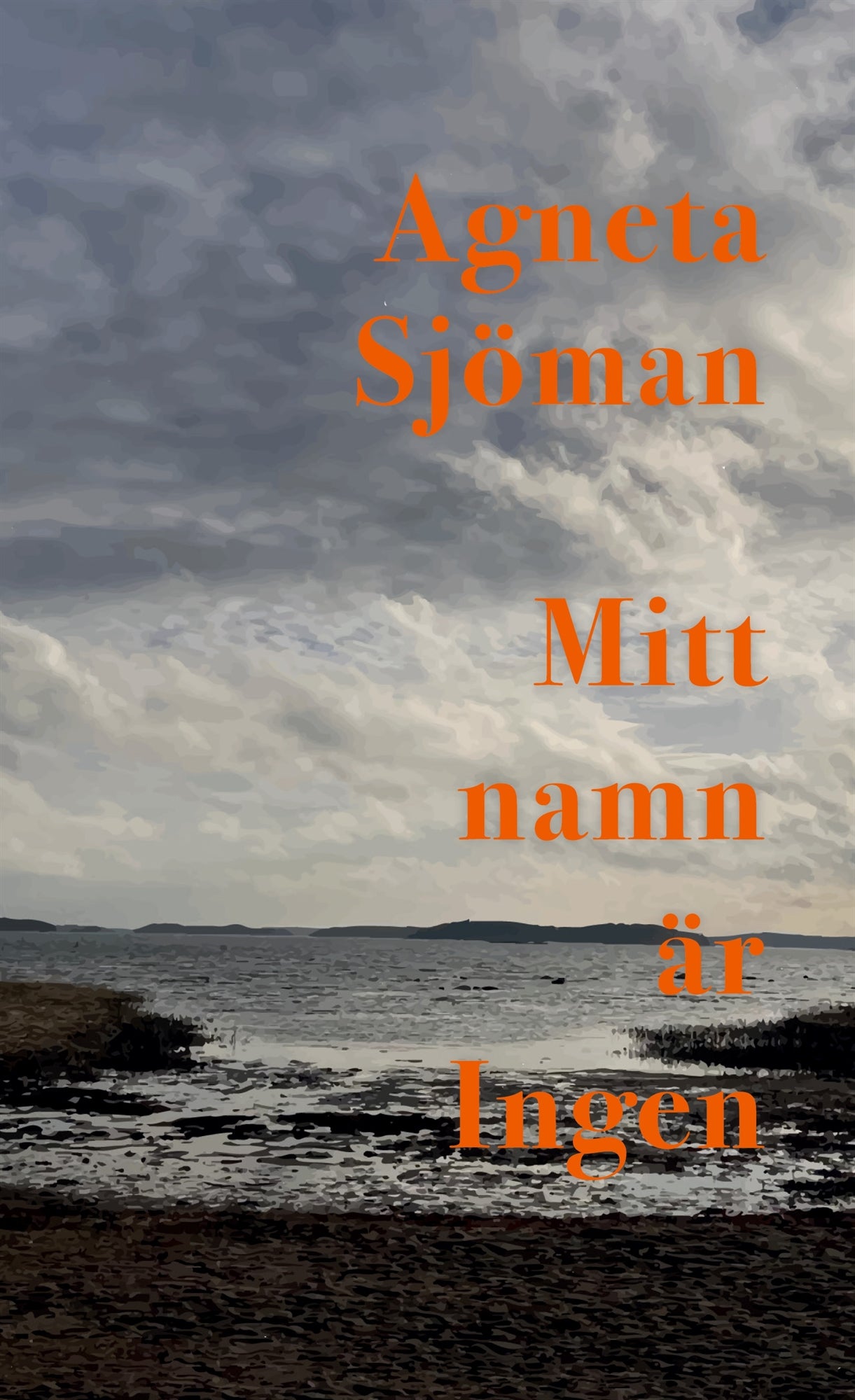Mitt namn är Ingen – E-bok