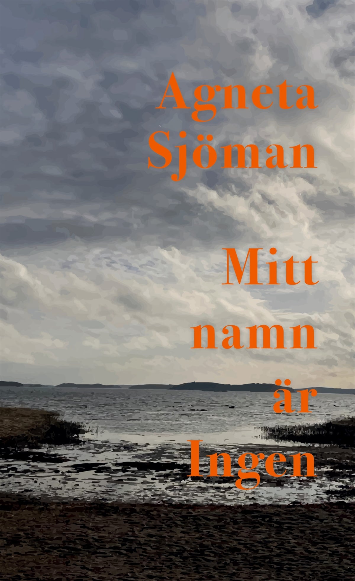 Mitt namn är Ingen – E-bok