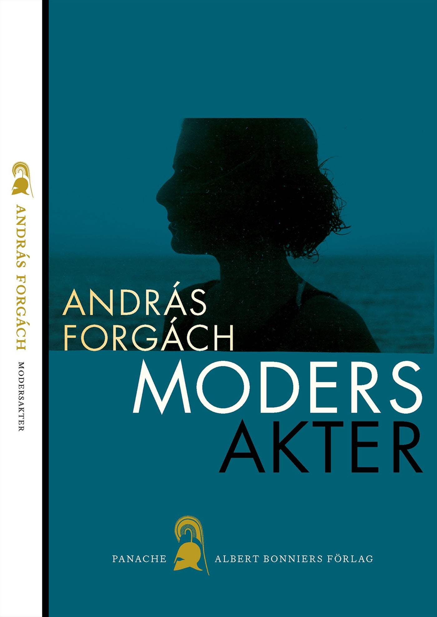 Modersakter – E-bok