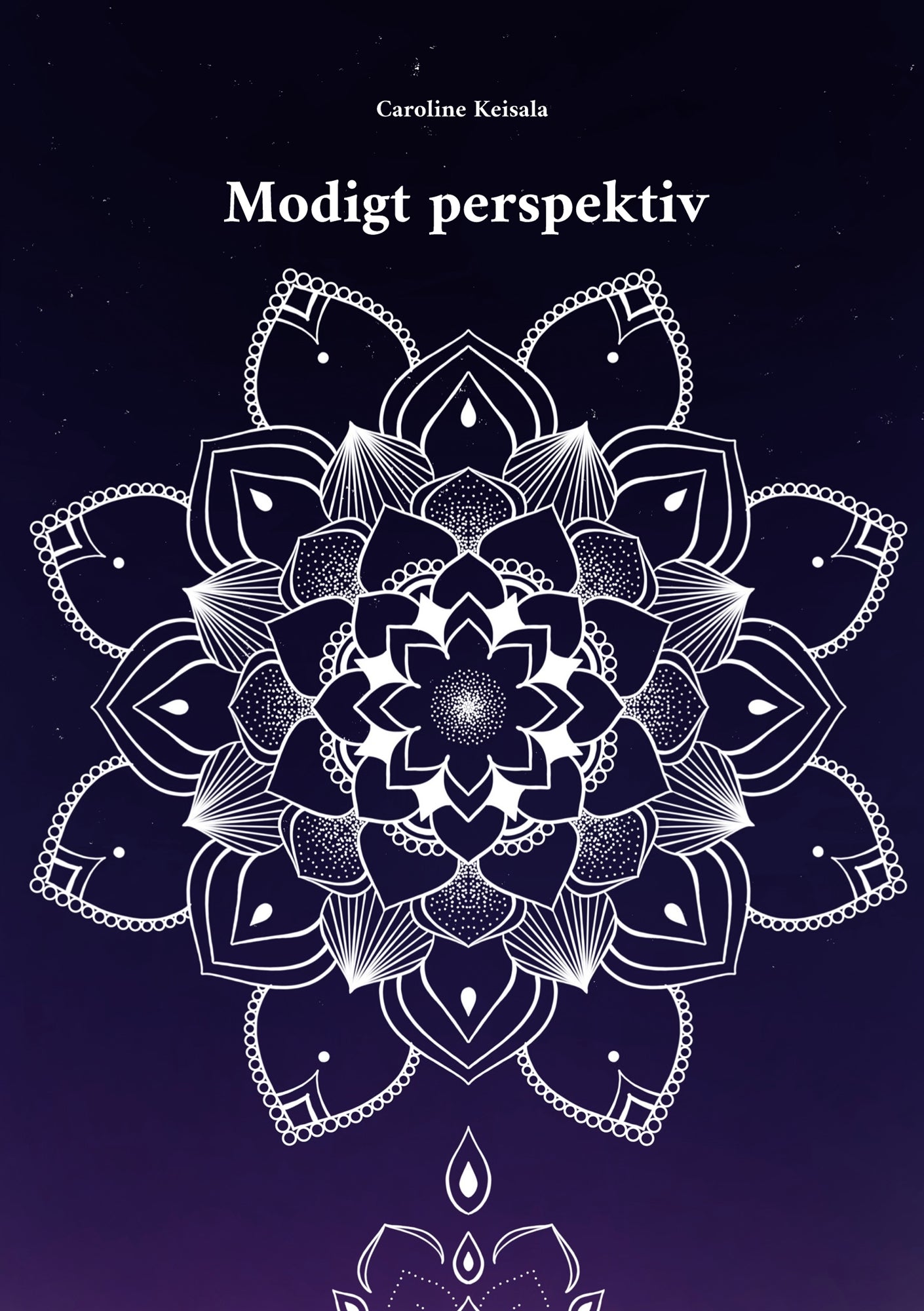 Modigt perspektiv – E-bok