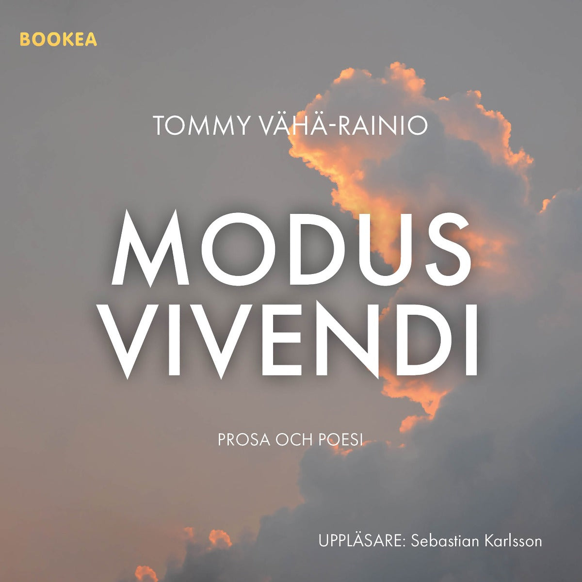 Modus Vivendi – Ljudbok