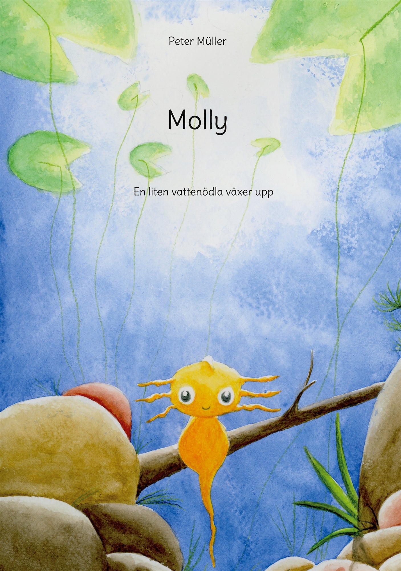 Molly: En liten vattenödla växer upp – E-bok