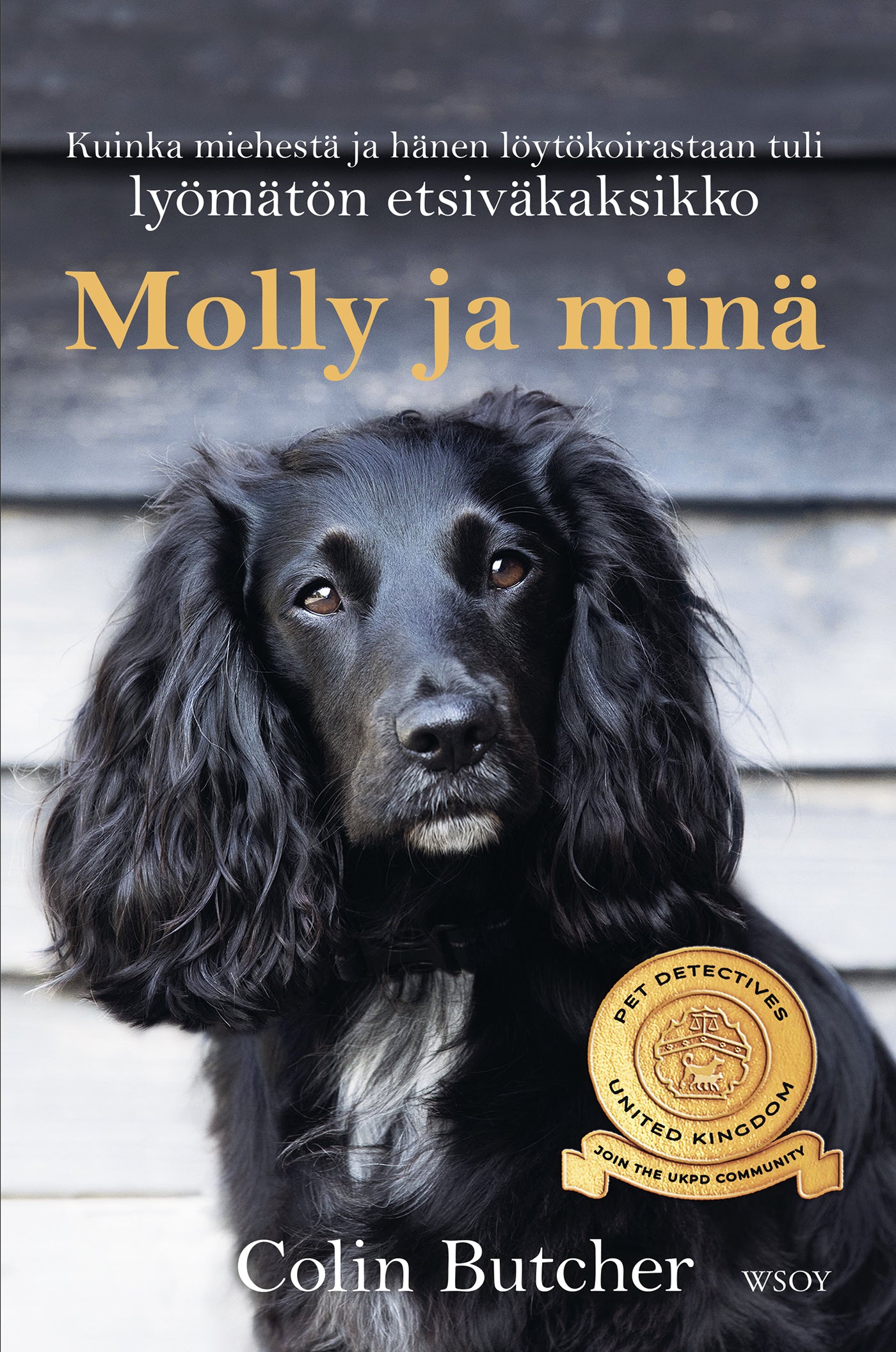 Molly ja minä – E-bok