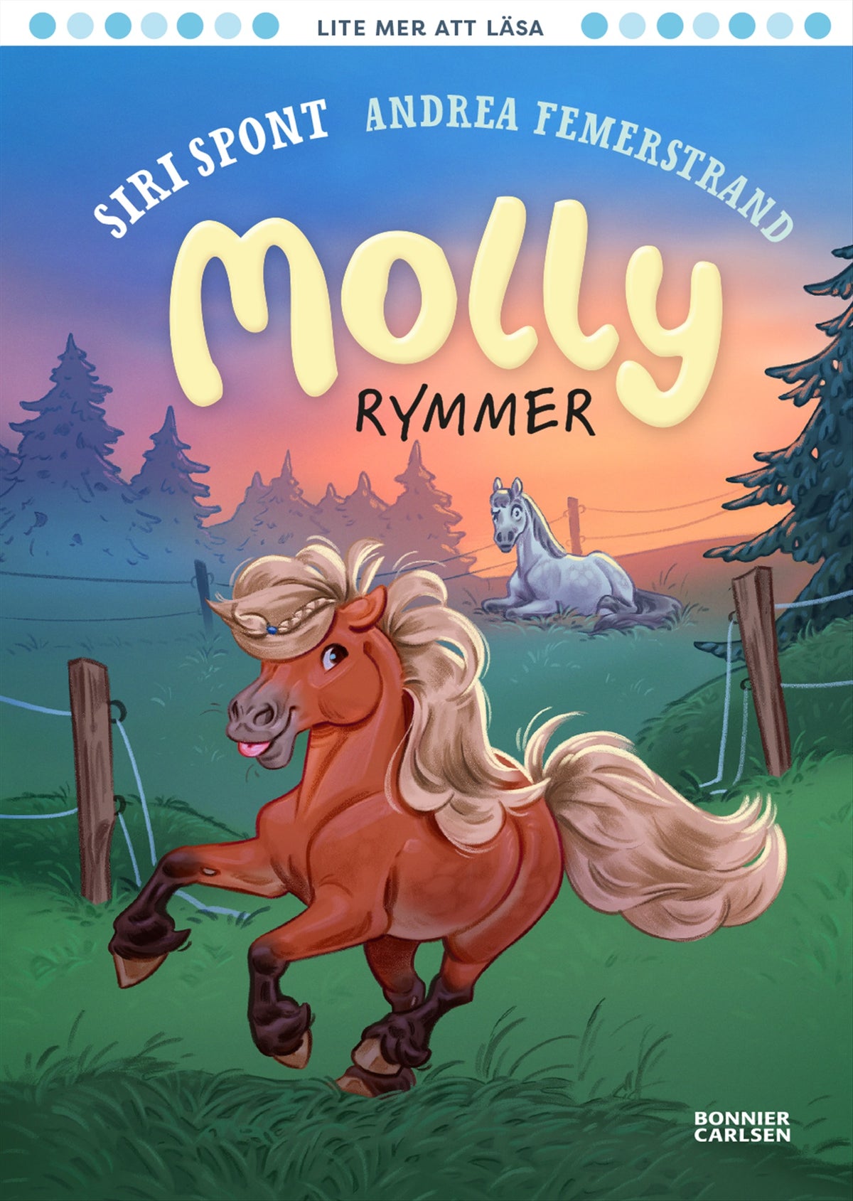 Molly rymmer – E-bok
