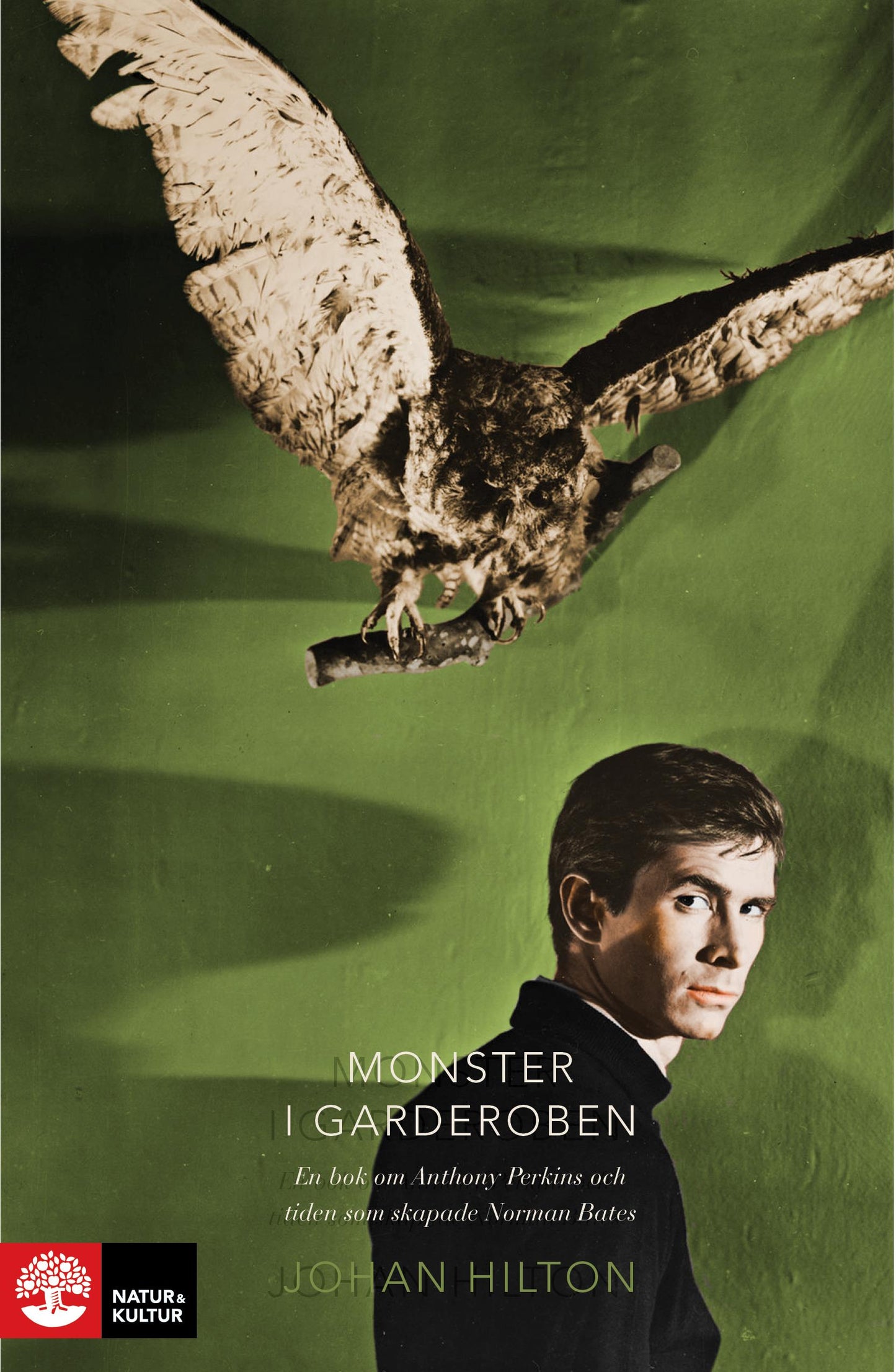 Monster i garderoben : en bok om Anthony Perkins och tiden som skapade Norman Bates – E-bok