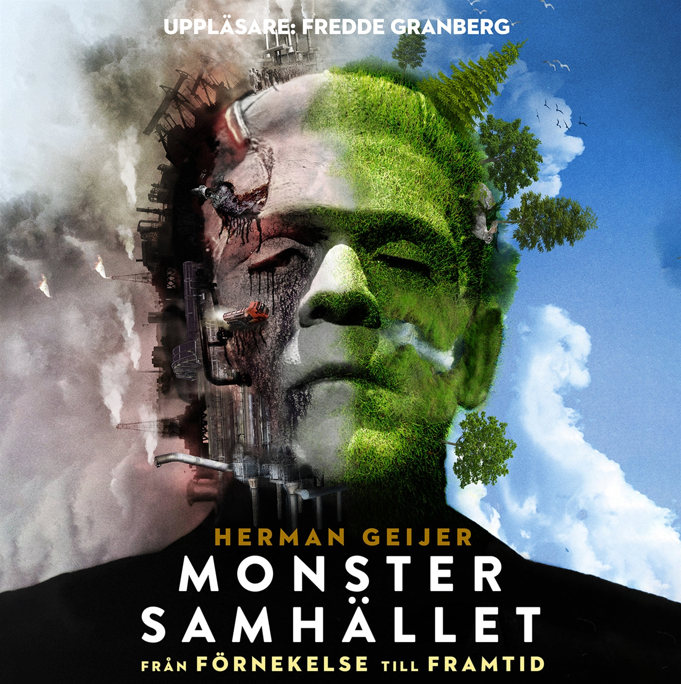 Monstersamhället: Från förnekelse till framtid – Ljudbok