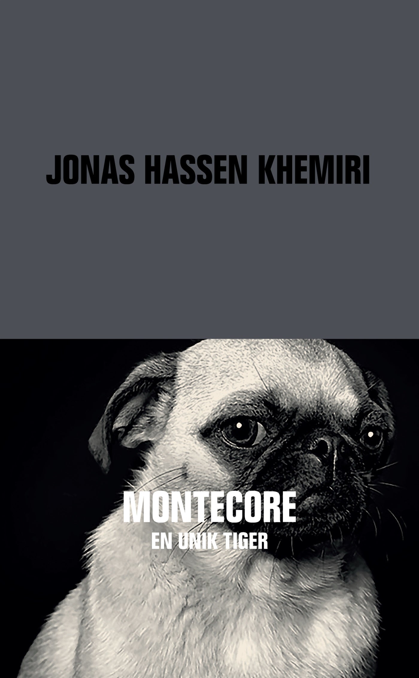 Montecore – E-bok