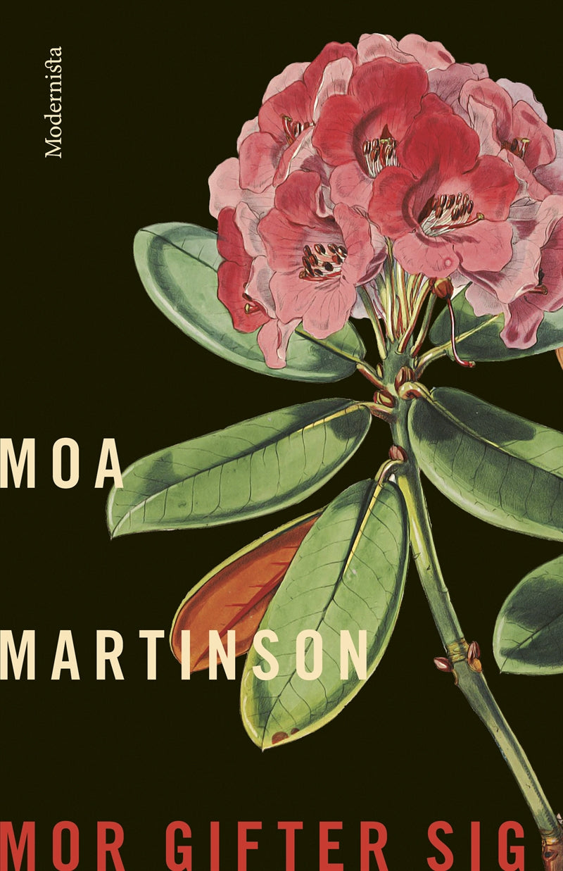 Mor gifter sig – E-bok