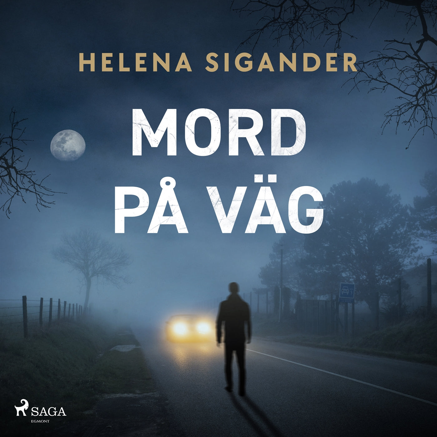 Mord på väg – Ljudbok