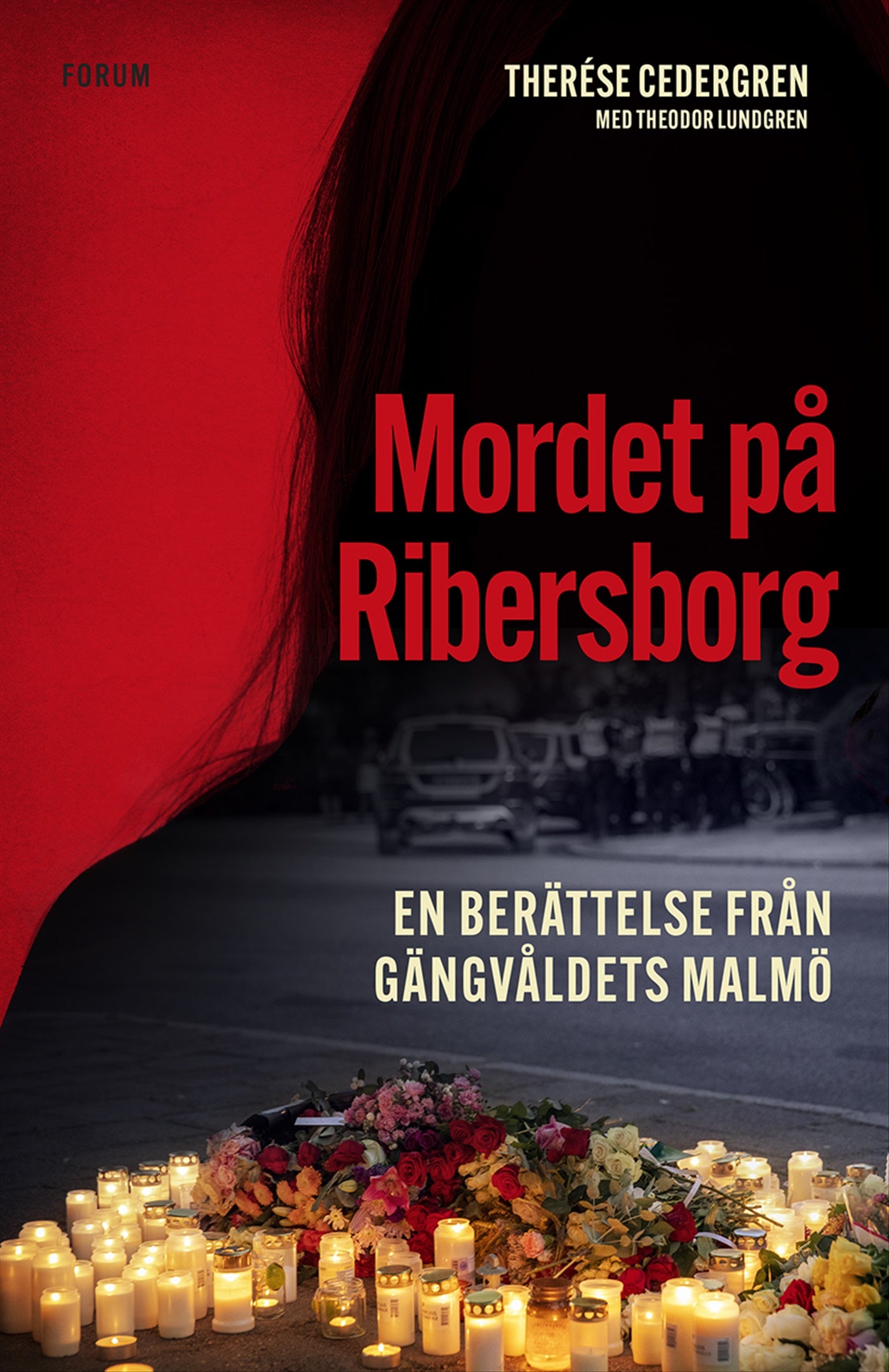 Mordet på Ribersborg : en berättelse från gängvåldets Malmö – E-bok