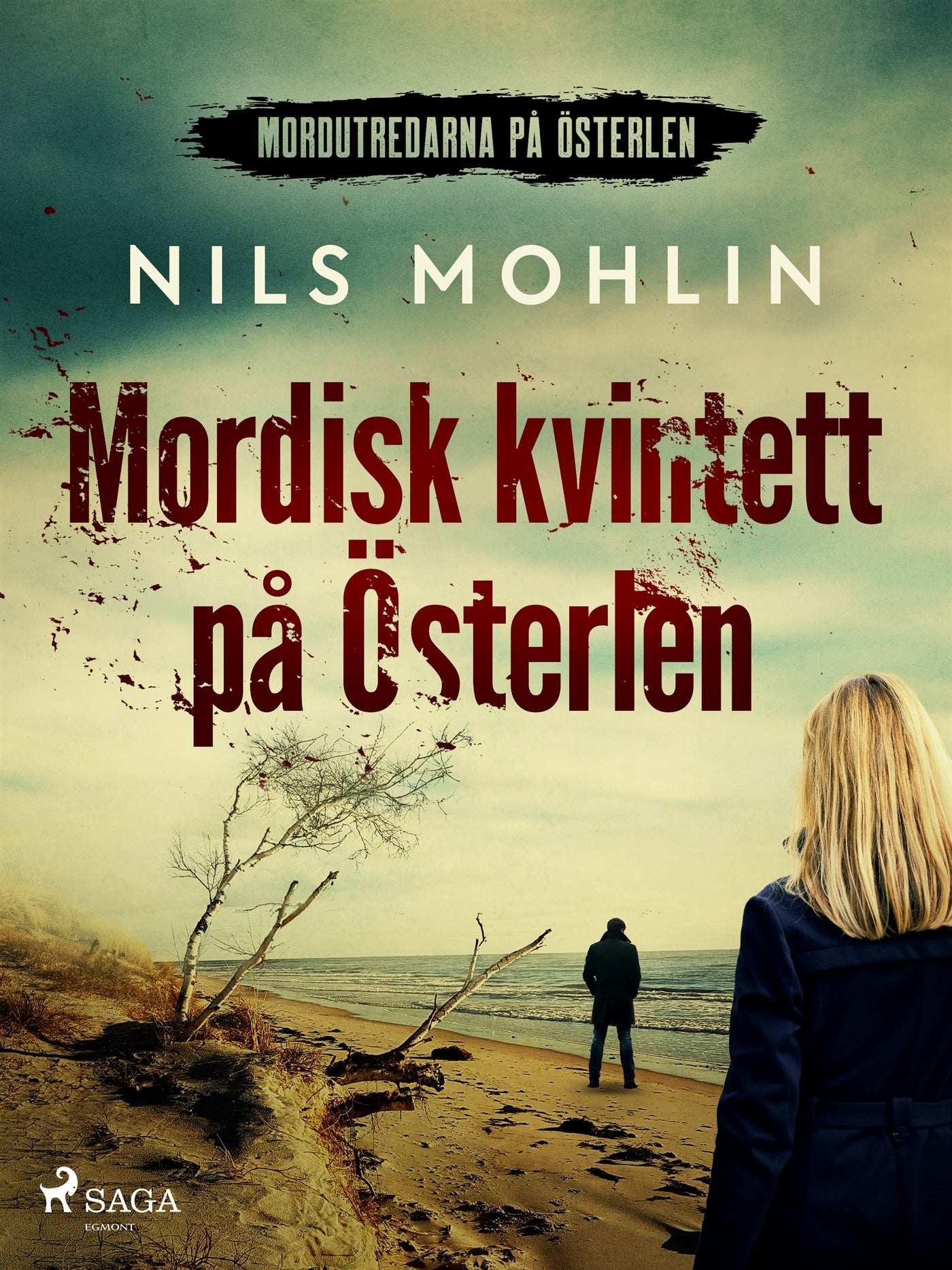 Mordisk kvintett på Österlen – E-bok
