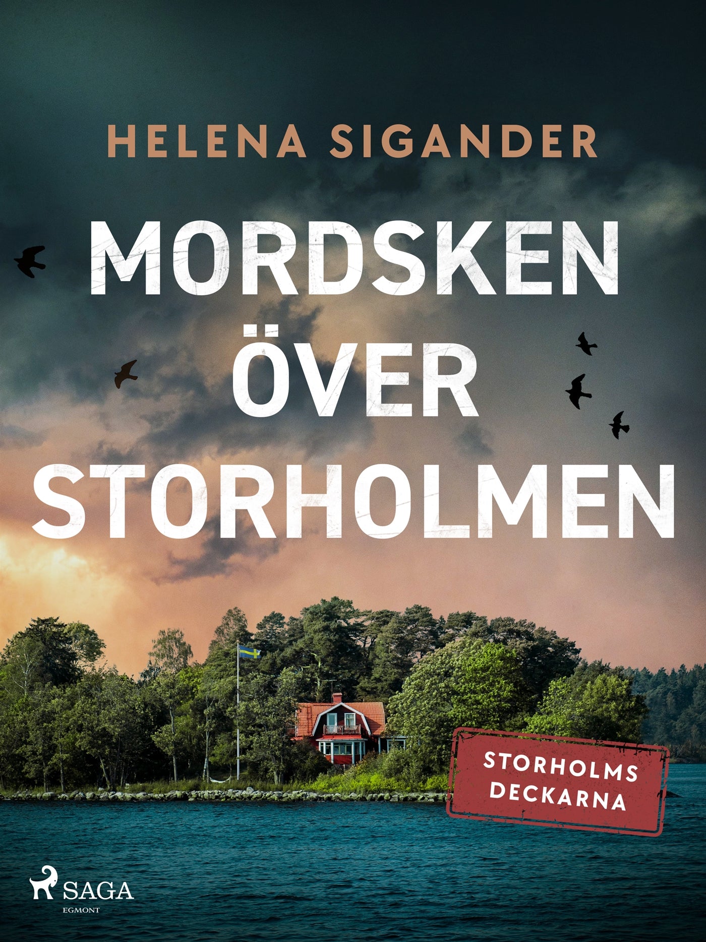 Mordsken över Storholmen – E-bok
