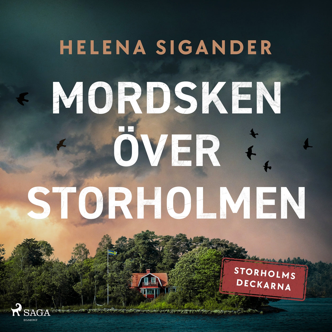 Mordsken över Storholmen – Ljudbok