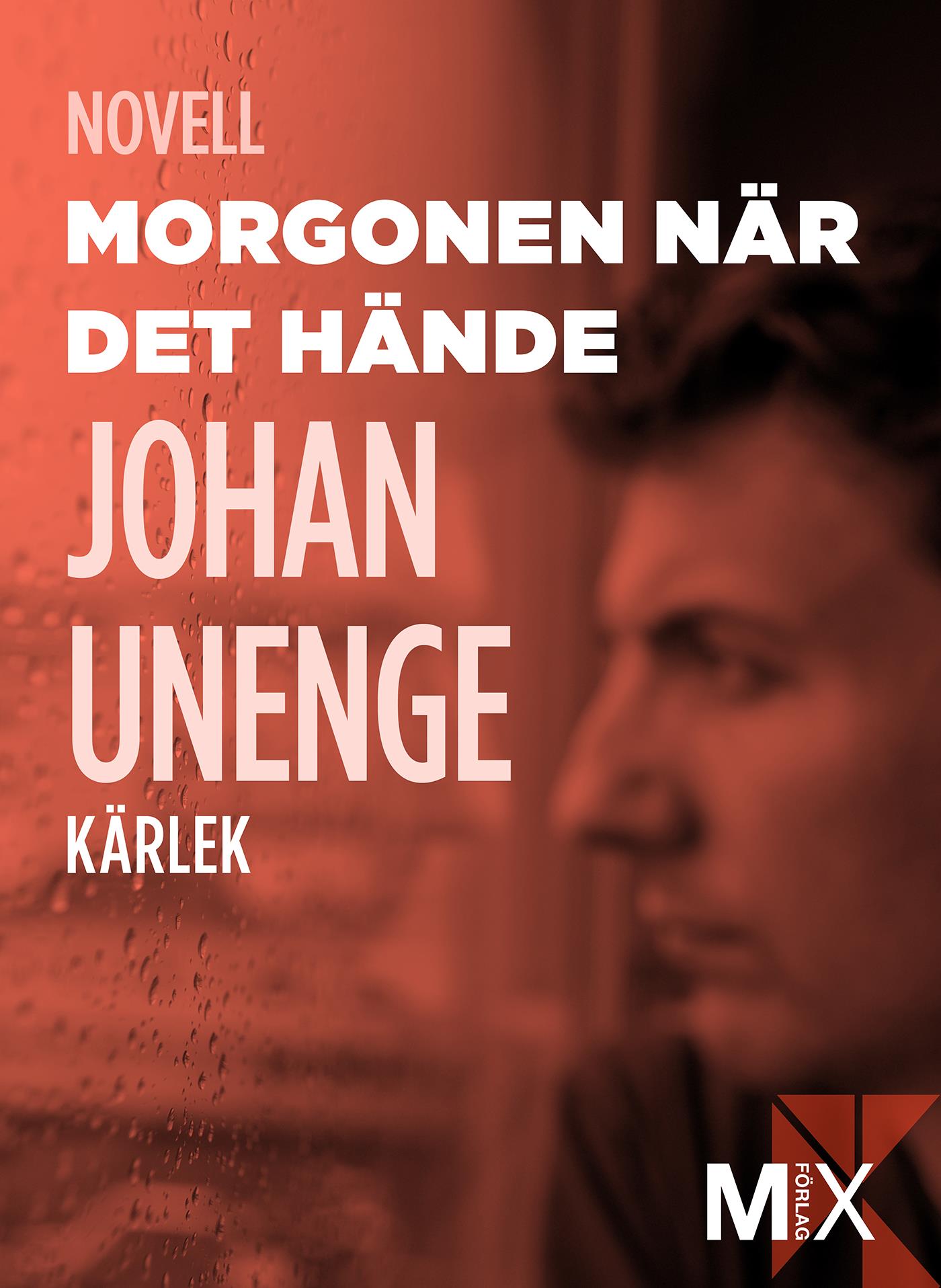 Morgonen när det hände – E-bok