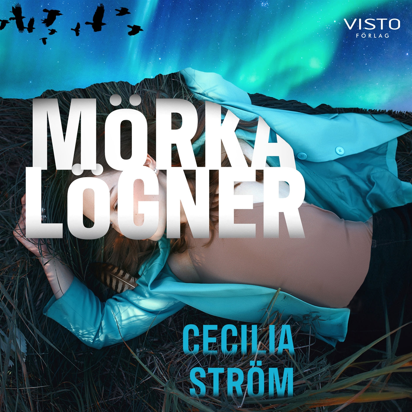 Mörka lögner – Ljudbok