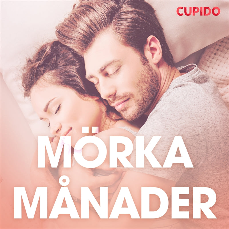 Mörka månader - erotiska noveller – Ljudbok