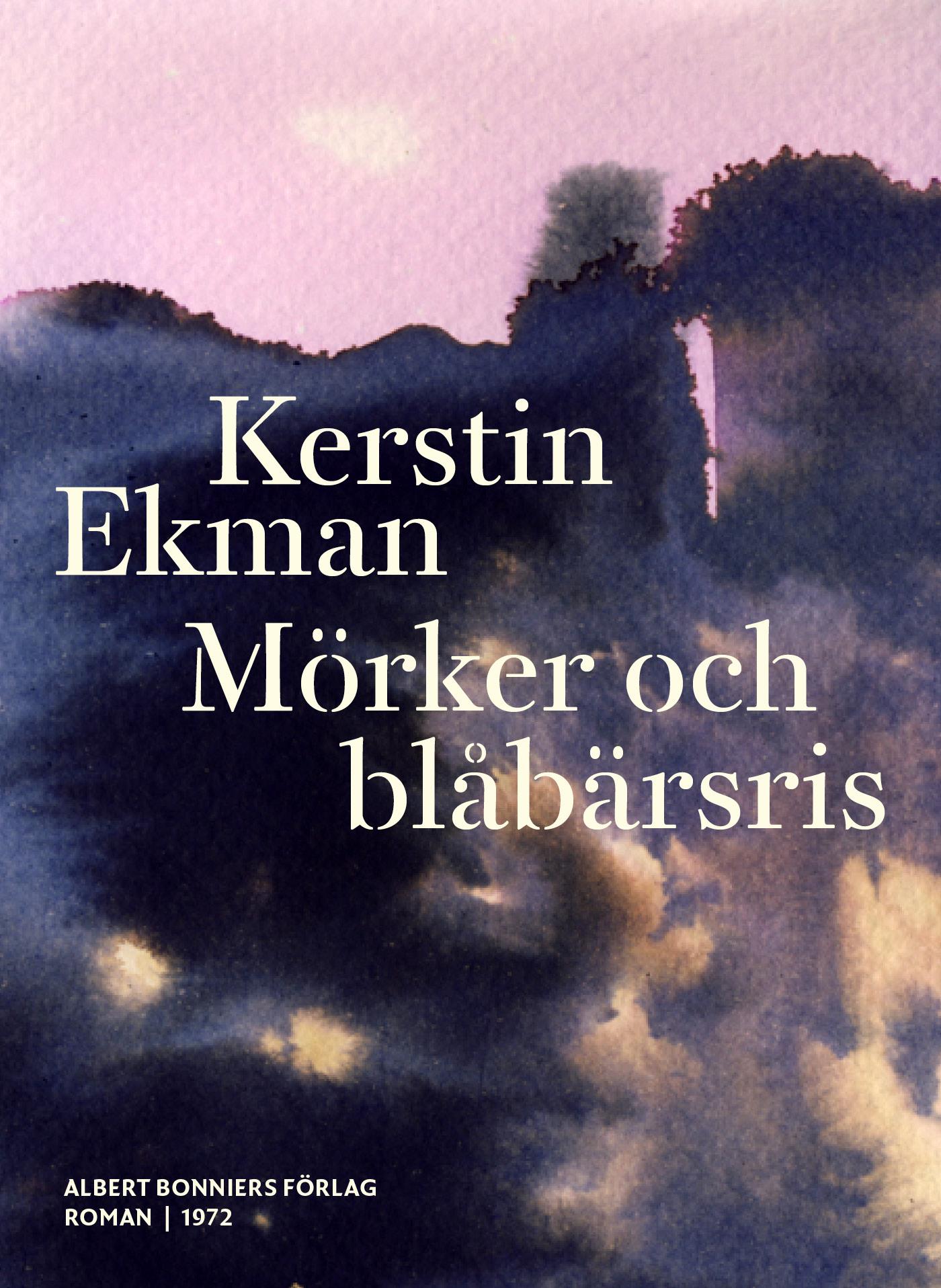 Mörker och blåbärsris – E-bok
